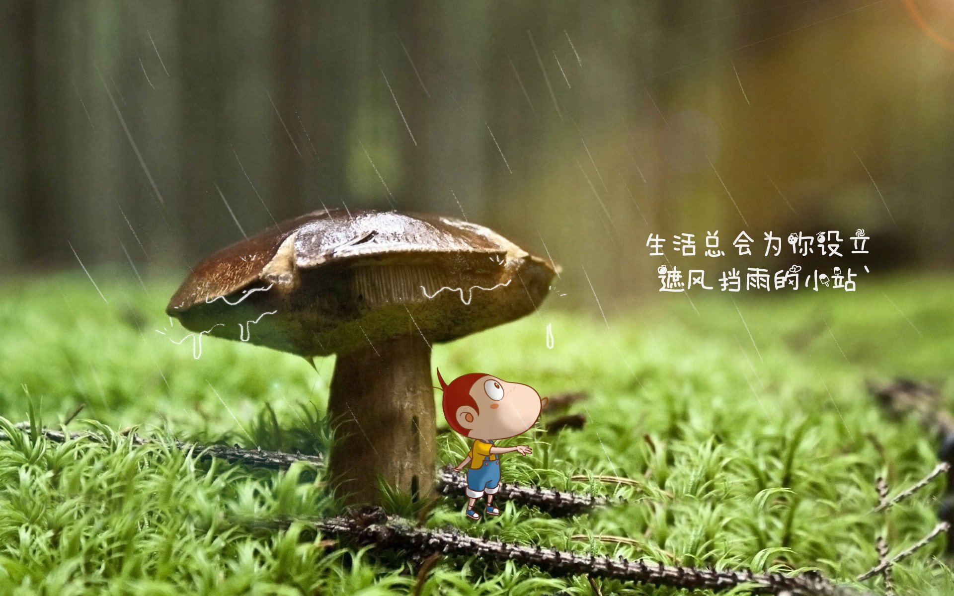 九游游戏中心官网-外援角色定位是否干扰球队战术统一，外援限制