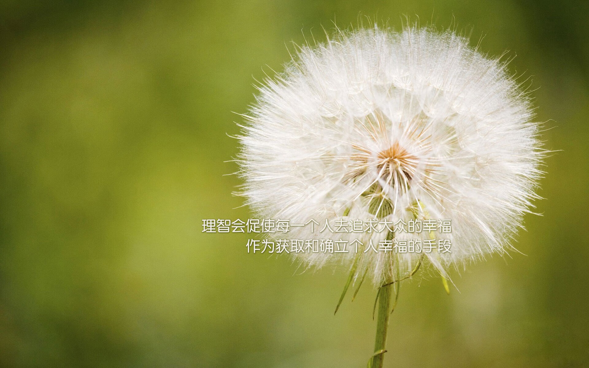 九游jiuyou-跳水难度系数上升希腊挑战成功，跳水难度系数排名