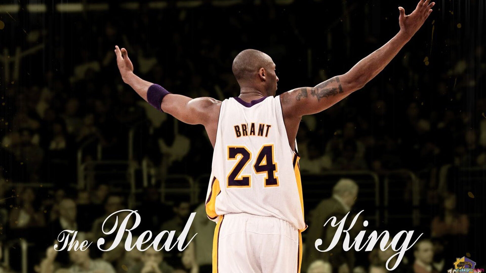 电竞内容IP开发热潮，授权合作频繁，电竞ip是什么意思